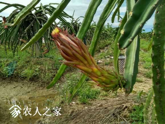 IMG_20170623_163239_HDR.jpg