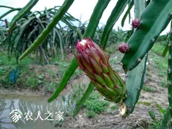 IMG_20170620_185235_HDR.jpg