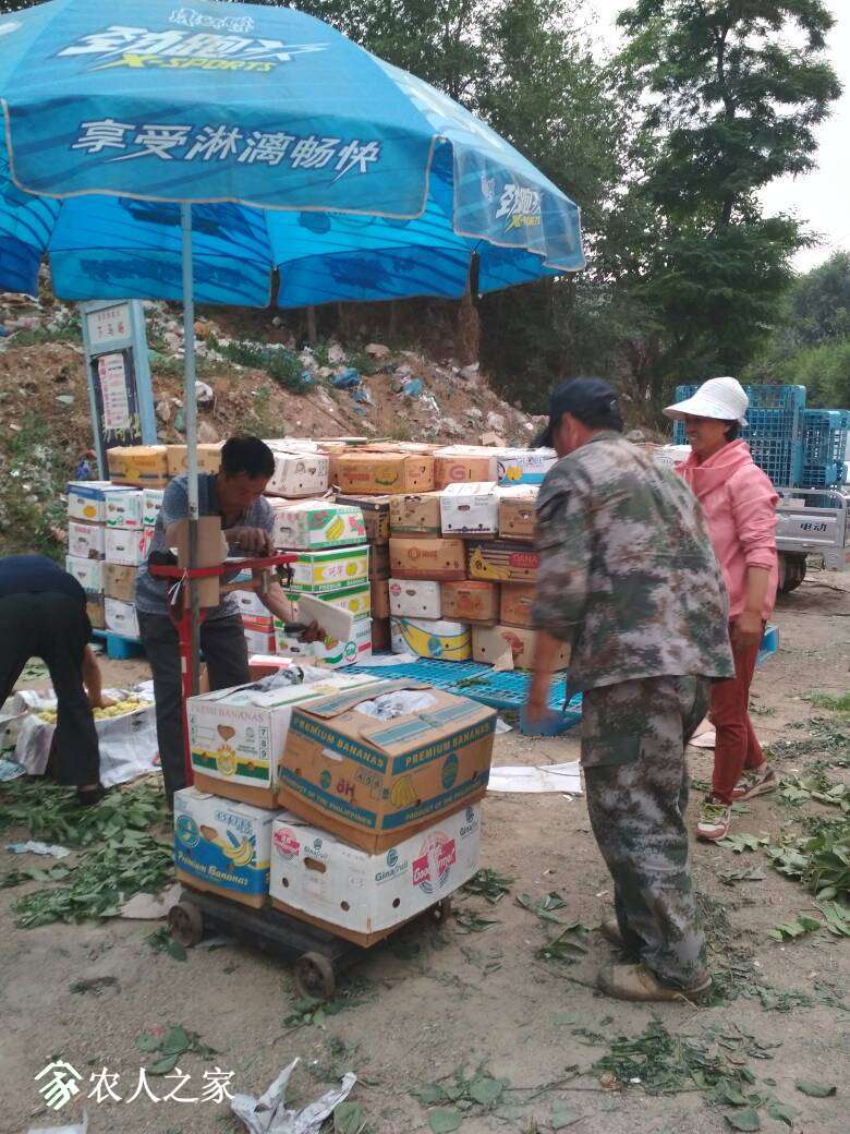 171531fq474g97t9ztegie.jpg