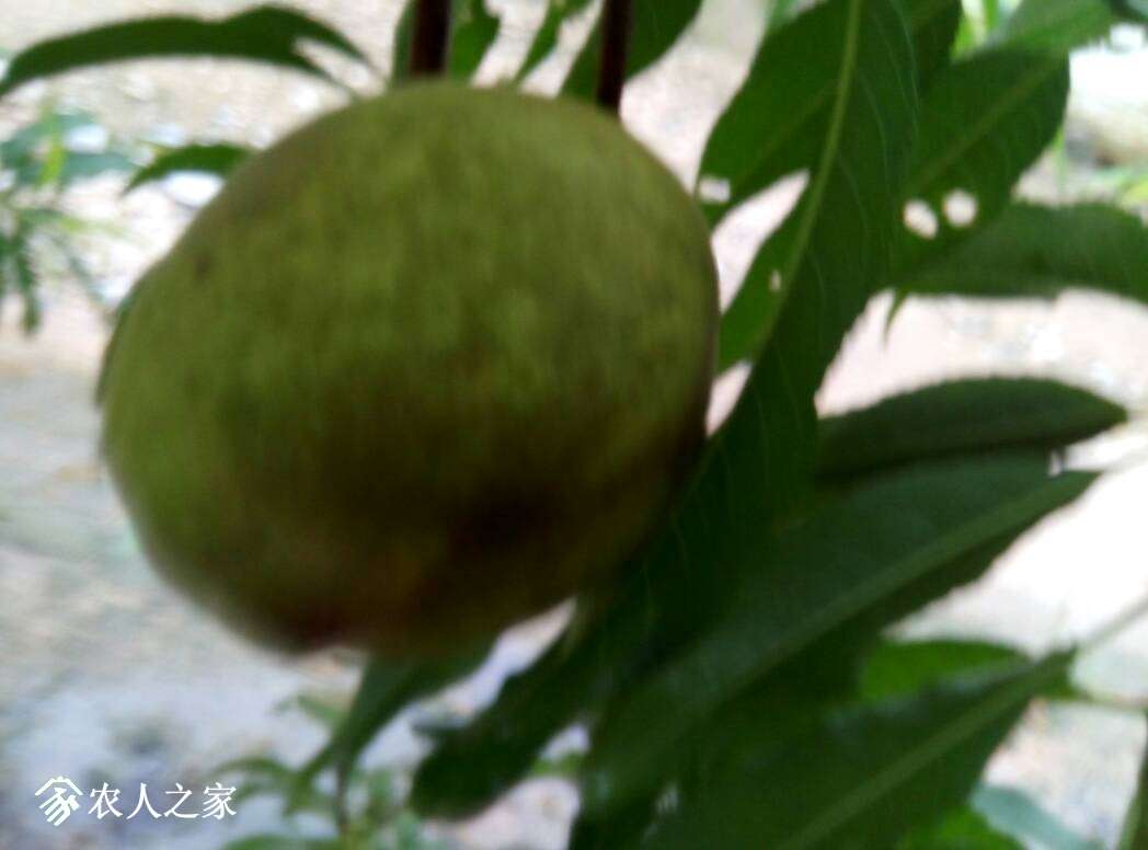 092008gygzzw21py8npg1e.jpg