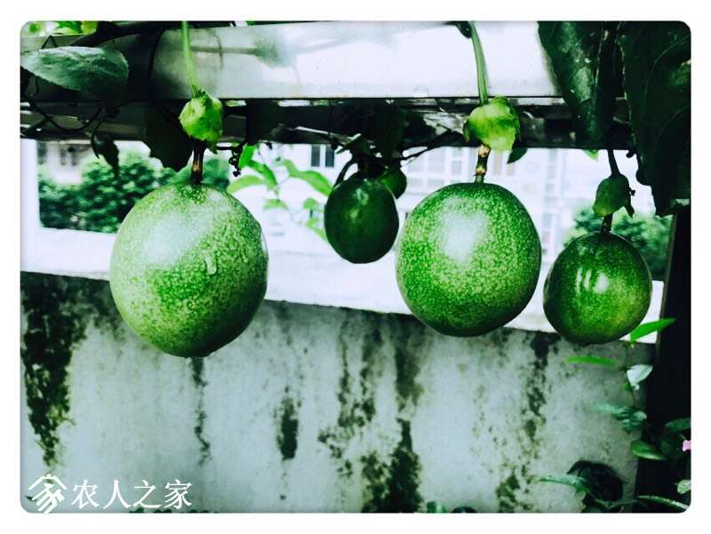 095128vxhxe85xqg227qgz.jpg