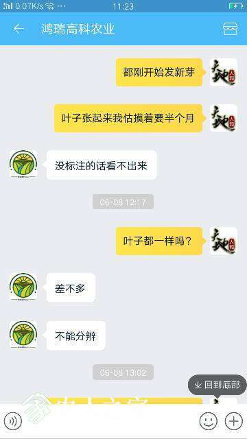 113416hi1ei13eae5izd5e.png