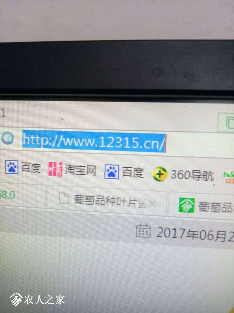 122029cxb5ua4qzrl49dh9.jpg