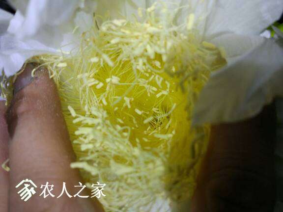 002604oosaopca1z8oreou.jpg
