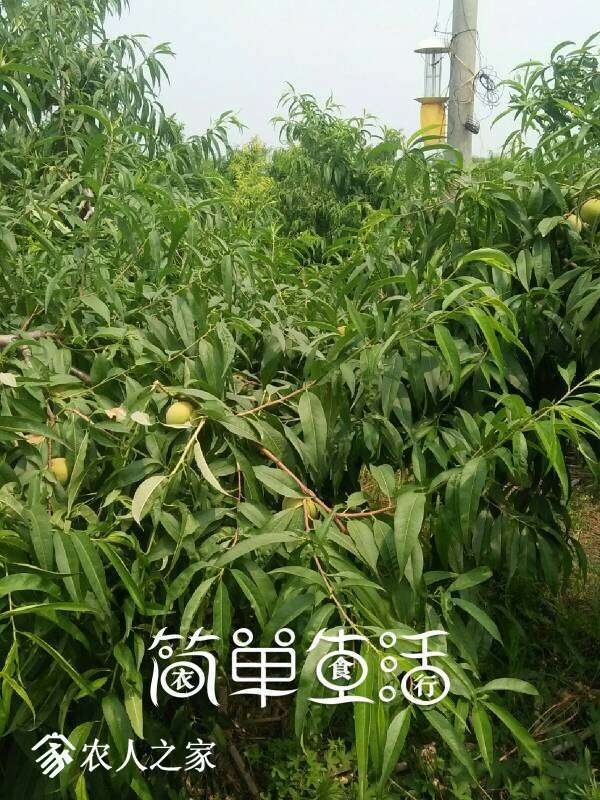104740uo2ocgo55d3potgr.jpg
