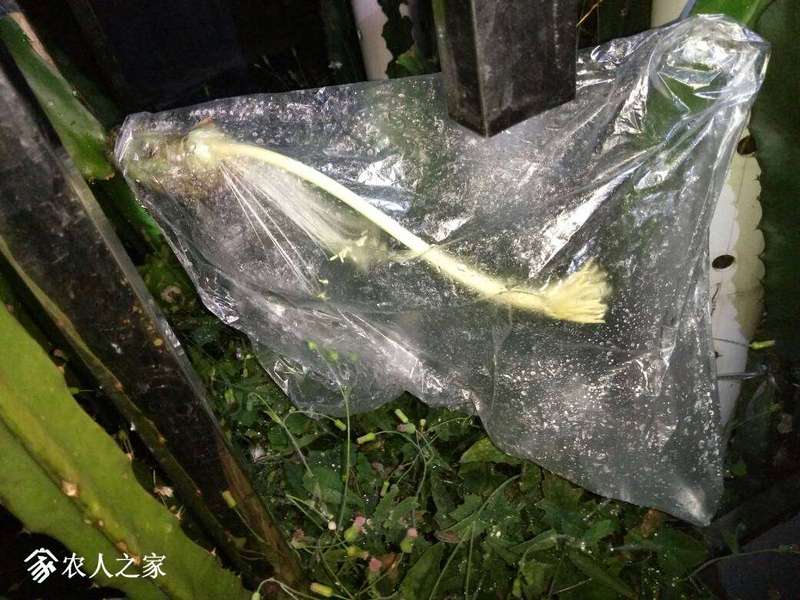 132051cbxsxflyot1zyxzm.jpg