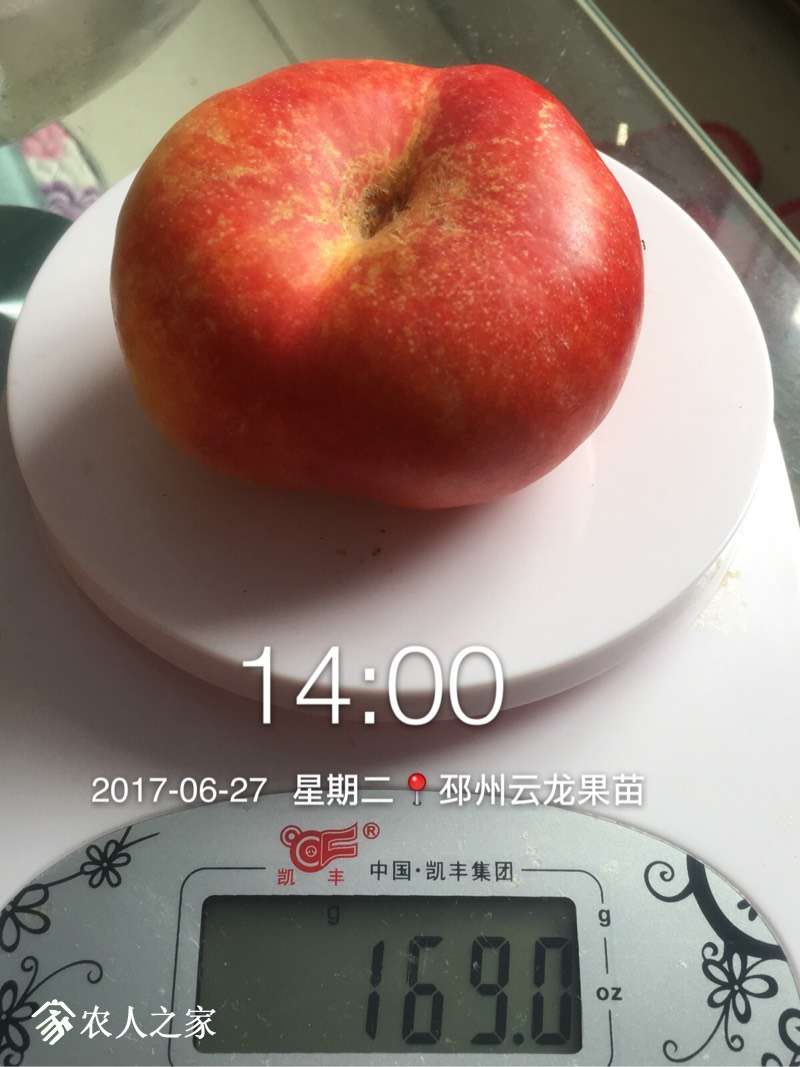 205643t0evng516183z5z0.jpg