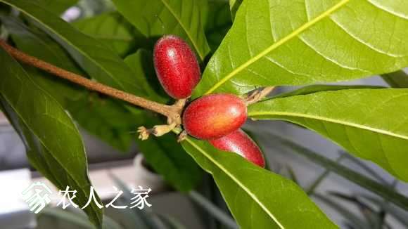 20170626_121041.jpg