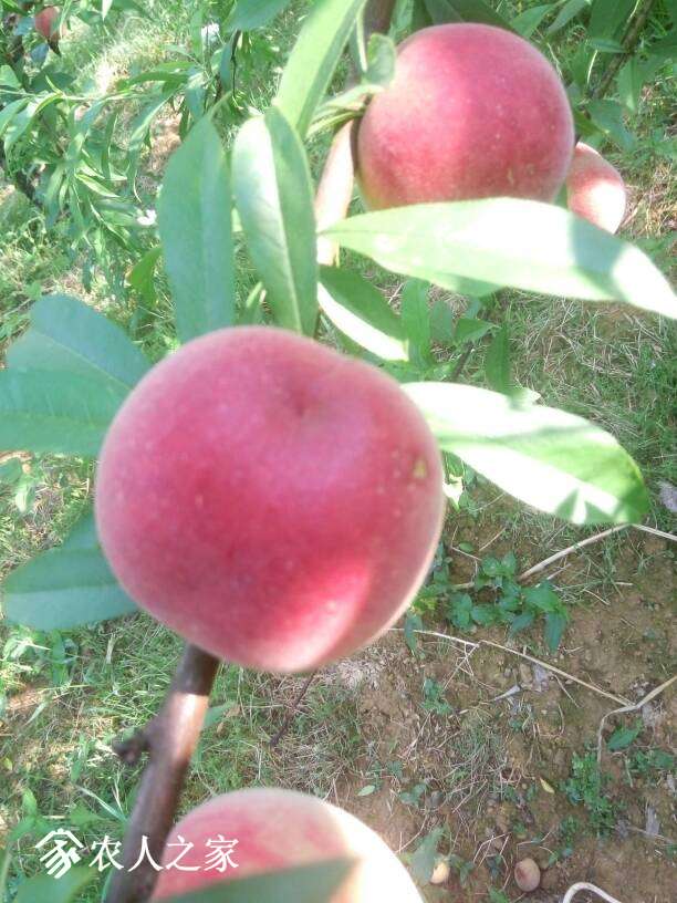 223010a4qqnsxnjz5xqqwz.jpg