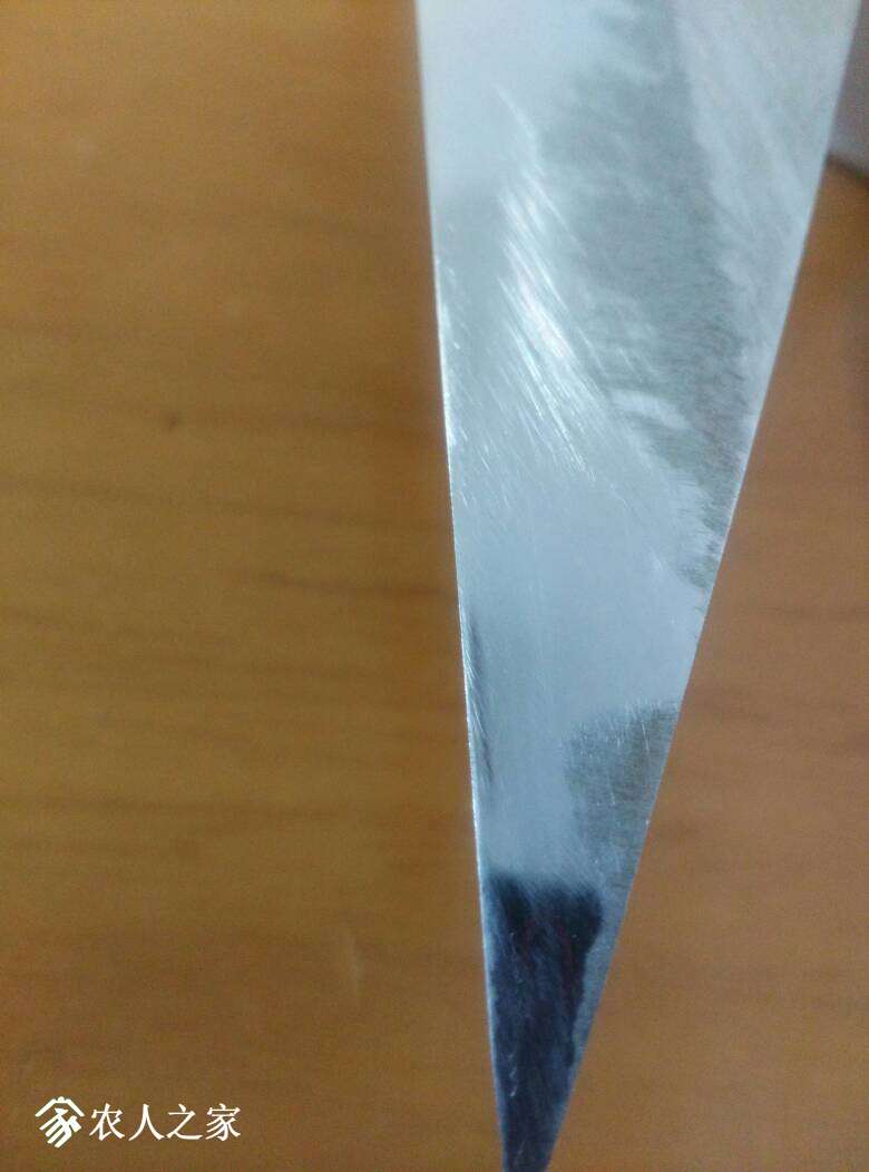 005607ln7bwbbaxbidlxll.jpg