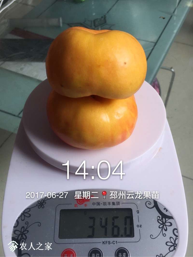 051057tc9chjjljphh64c6.jpg