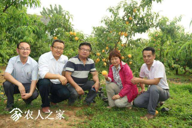 064126v7hk959fay7xh8hd.jpg