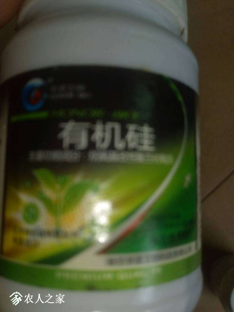 090501klw111vvgaii1t0t.jpg