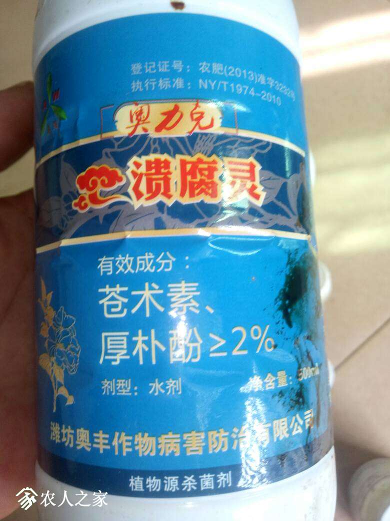095336foxo22ue7ukuyn7a.jpg