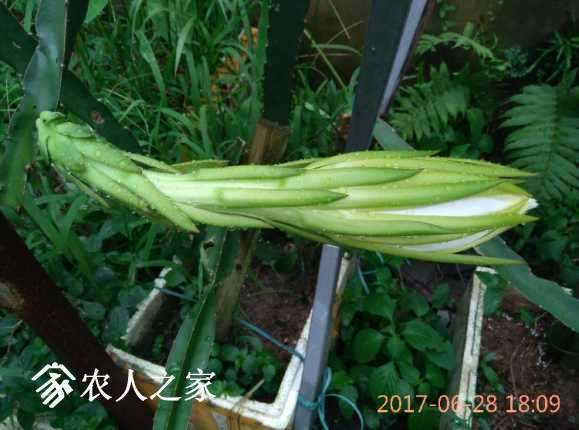 IMG_20170628_180949.jpg