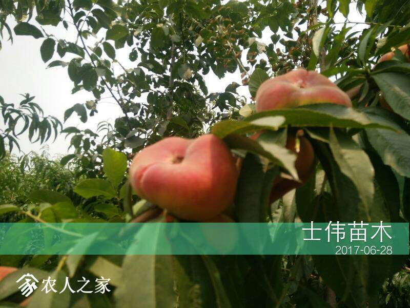 203958qxq4qkfs6xshxs8q.jpg