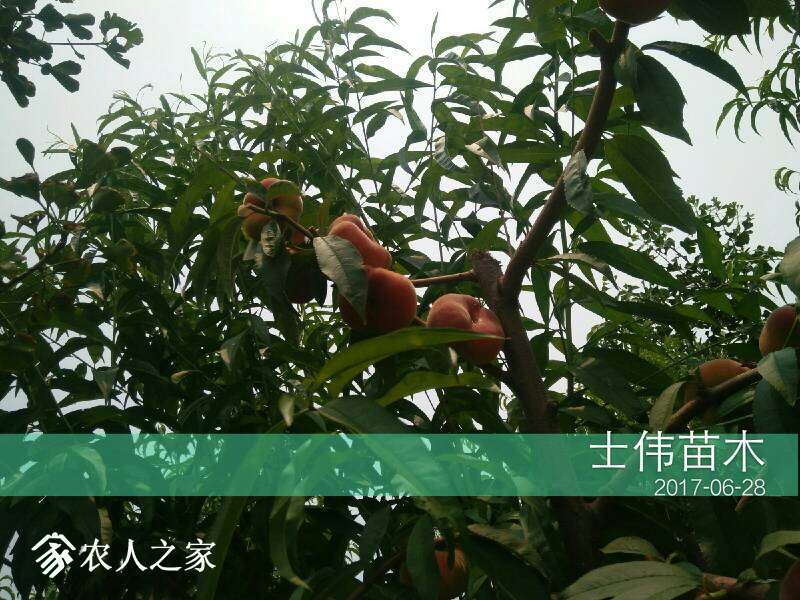203958sn766inmjj7ah3an.jpg