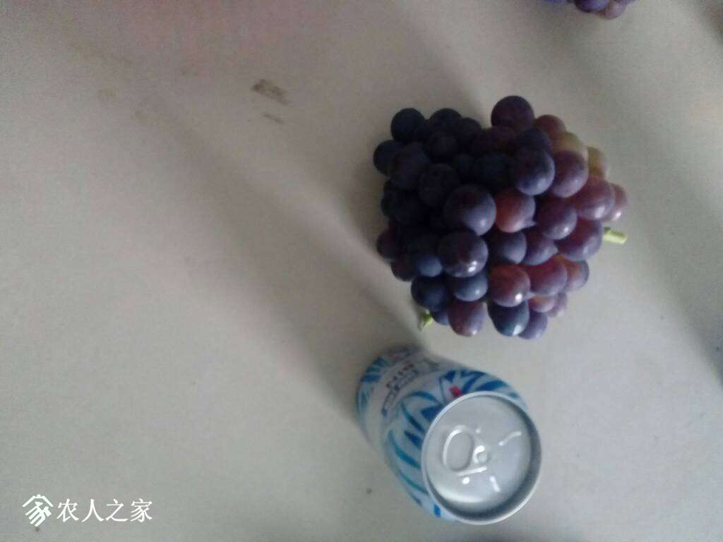 105931r5w75nriqklq6w65.jpg