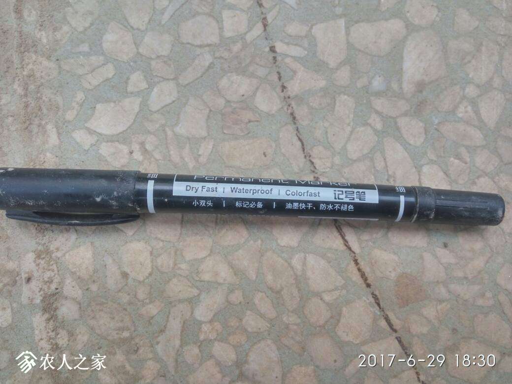 194134jvxybbh0mwzxbgmg.jpg