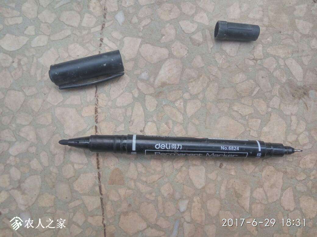 194134sm86wmq44y8v6qyq.jpg