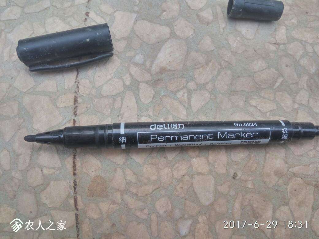 194134vfbxmqfzfjozvxx0.jpg