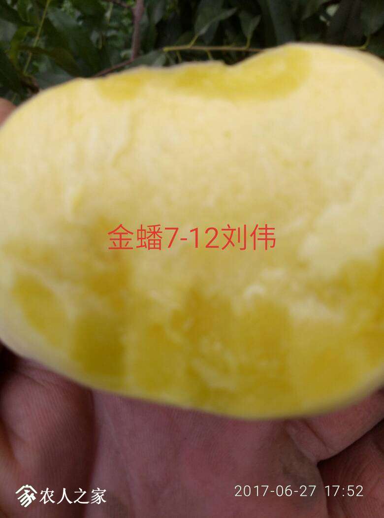 204907iimuqhqq98buo0jh.jpg