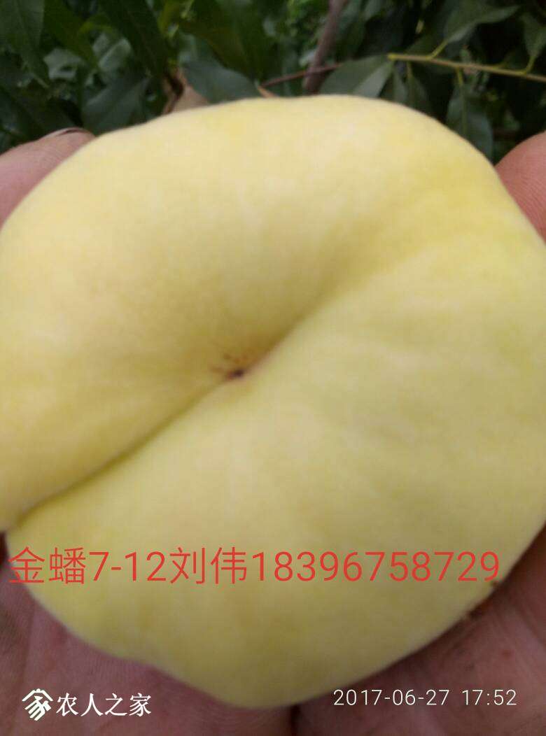 204907o0qgr1ua8la851ea.jpg