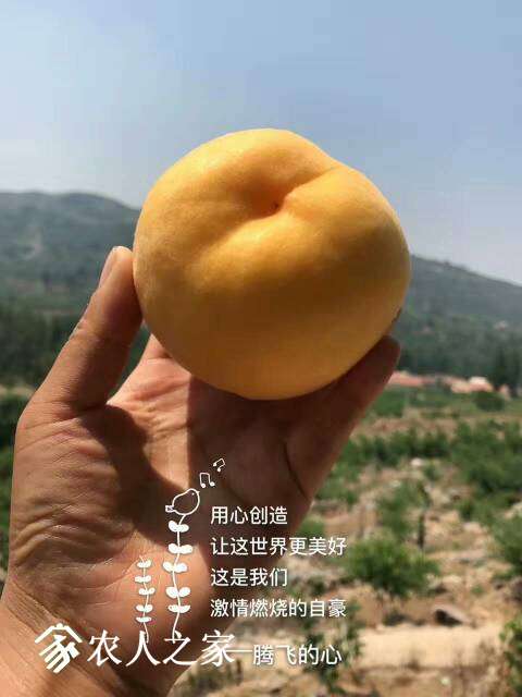 221622m374xnnxalzn5xqw.jpg
