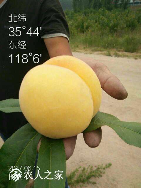 221623doz3vbpc3qqqnqvi.jpg