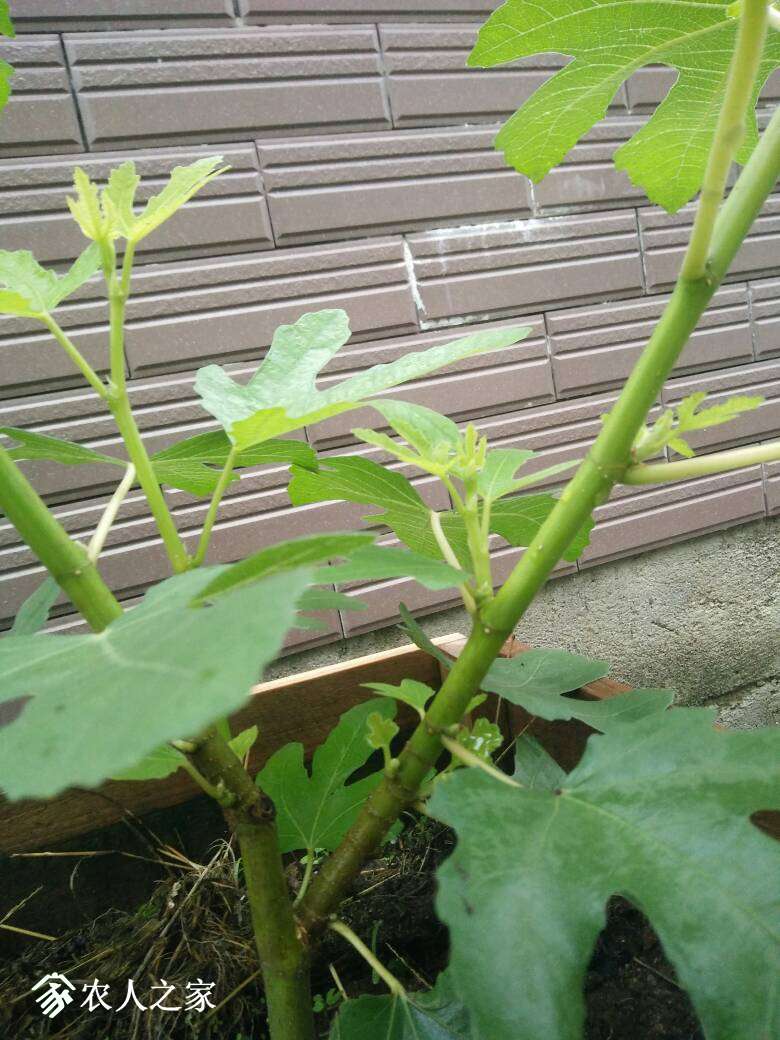 010108nzkk04mtpw9oiify.jpg