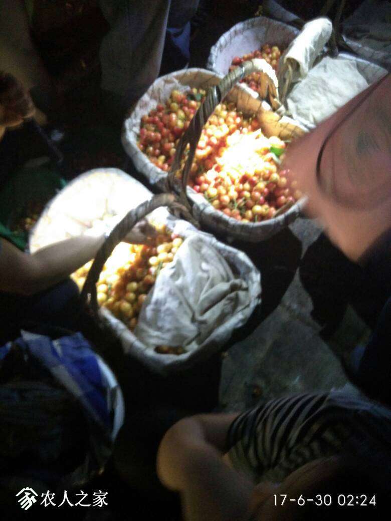 022658cbcqmda9idli24na.jpg