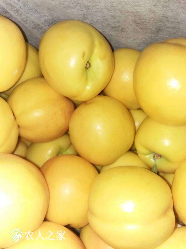 073732fixvxbxezbzdrixb.jpg