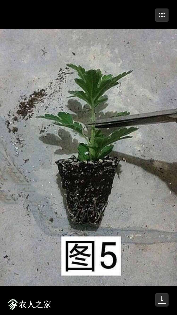 082120wh5ozt7xk27xcxoo.jpg
