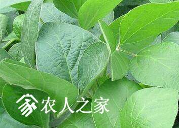 ǰѧҪ.jpg