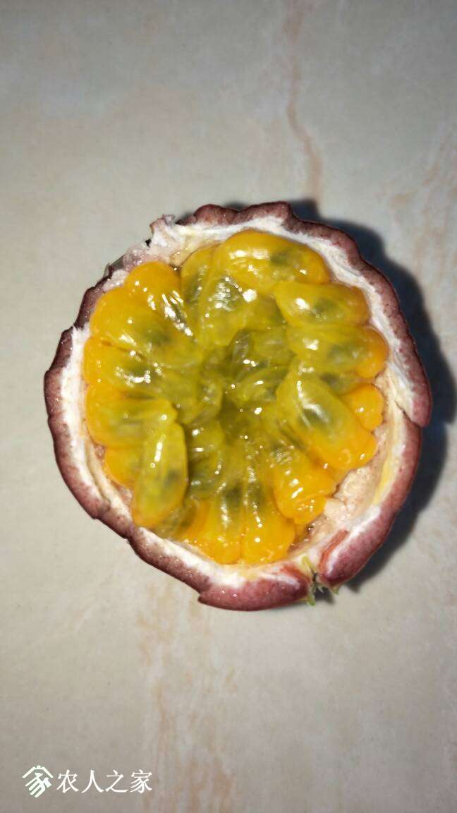155946bmmjbjgg82822mkm.jpg