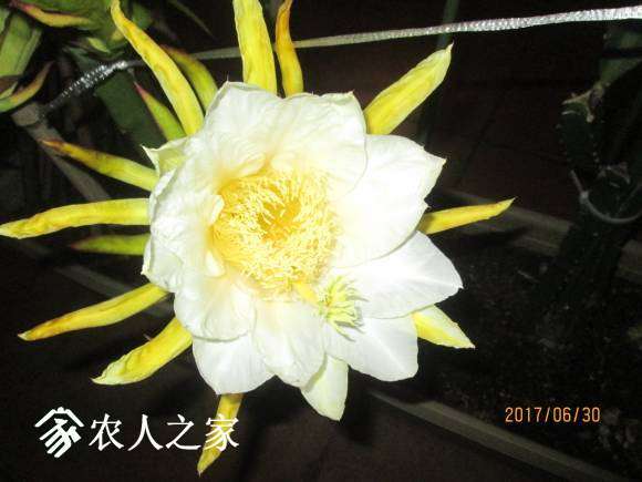 IMG_0080.JPG