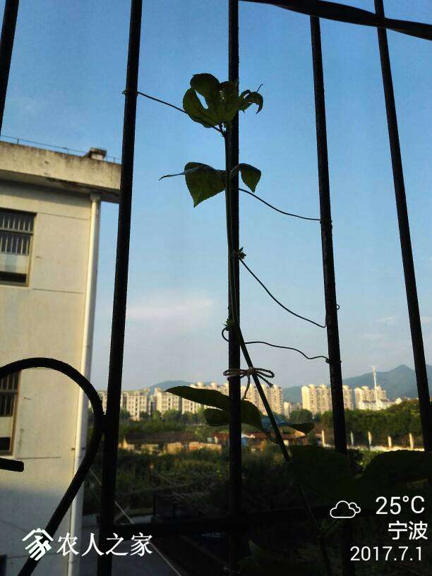 083056szjn6u3dajjbjin3.jpg