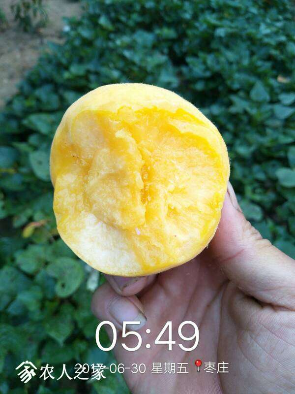 102821g6jddwlat1nd2alt.jpg