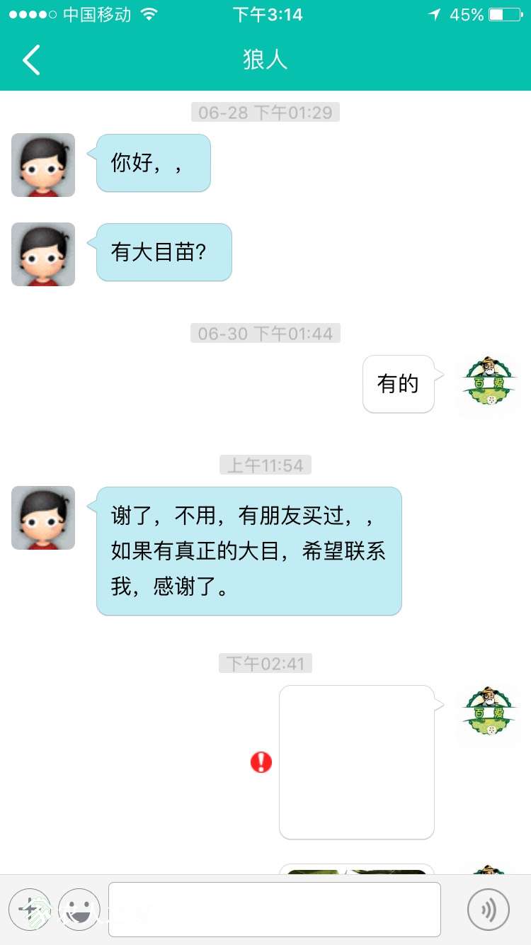 151755njqenmtx9l1c1m50.jpg
