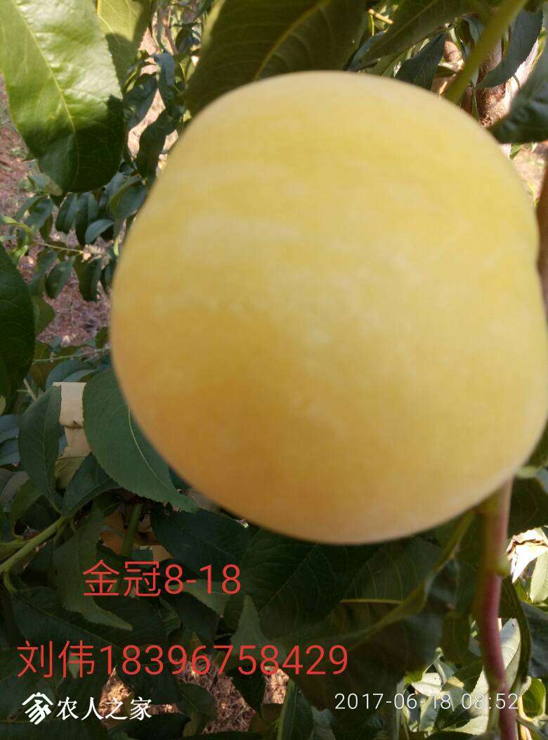 155434bzxvorh2vsnxvzvw.jpg