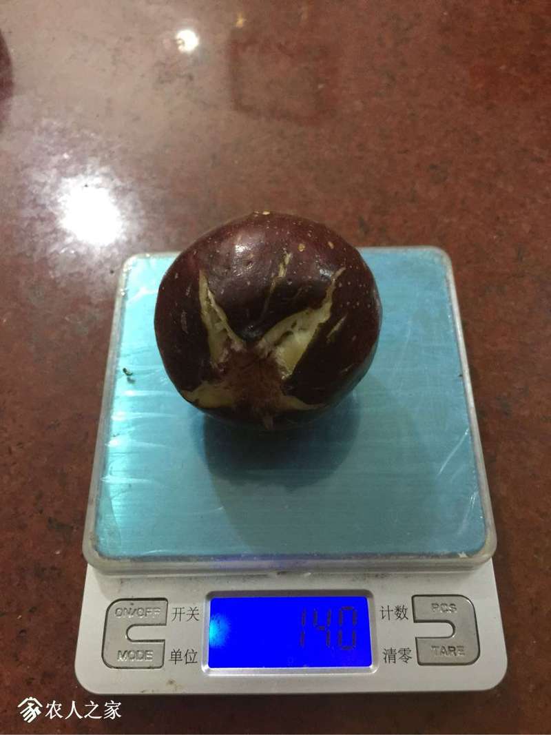 222415ley98ztyctc89v99.jpg