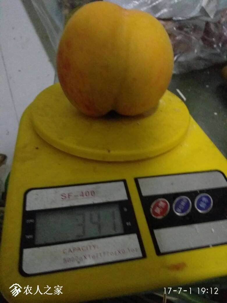 223449efkcbf2mmfjjkjfh.jpg