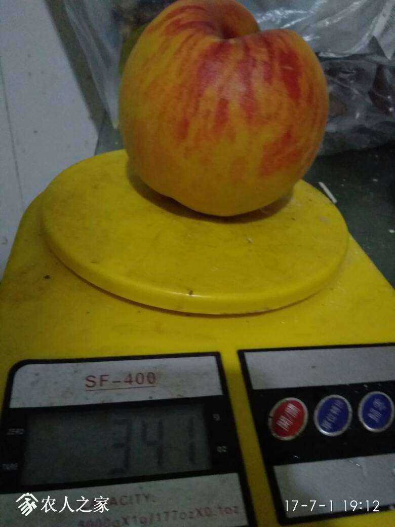 223449xd1eaoev2vevdgea.jpg