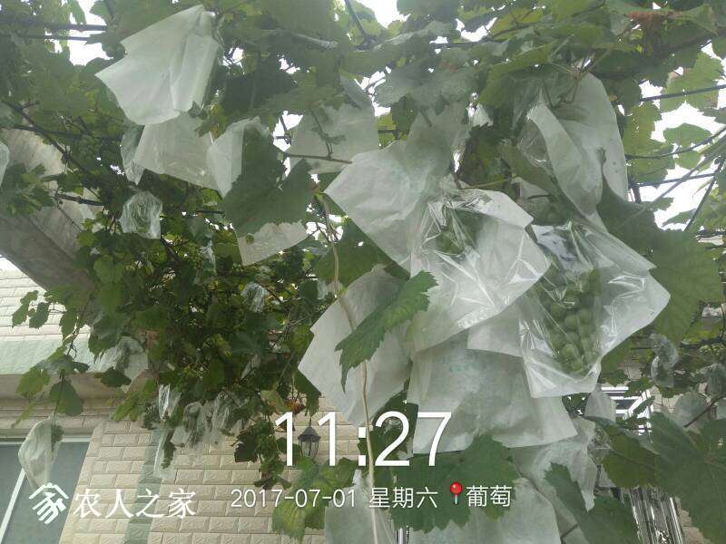 231628epdd98upz8f9qfj6.jpg