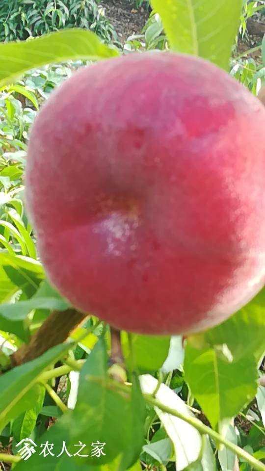 075206p7oufleefkkevkoe.jpg