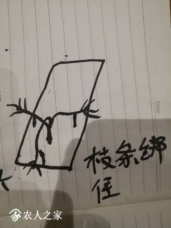 210523lpujpptdpp6p4jfh.jpg