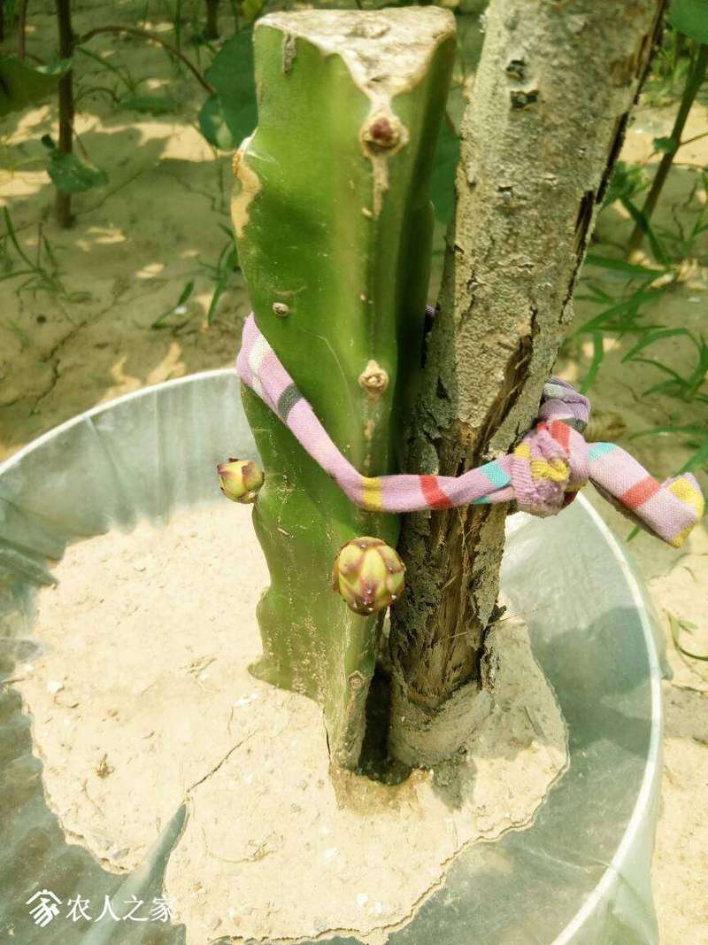 083745wvhavuauwfauo7uu.jpg
