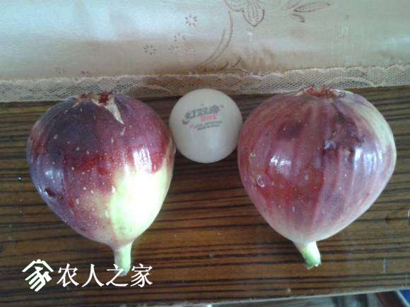 2014-07-18 08.06.17.jpg