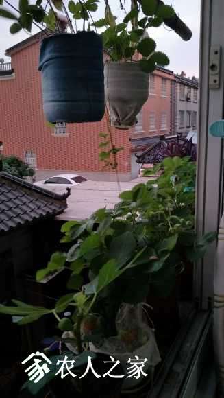 IMG20170703190423.jpg