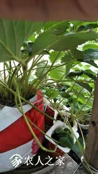 IMG20170618172600.jpg